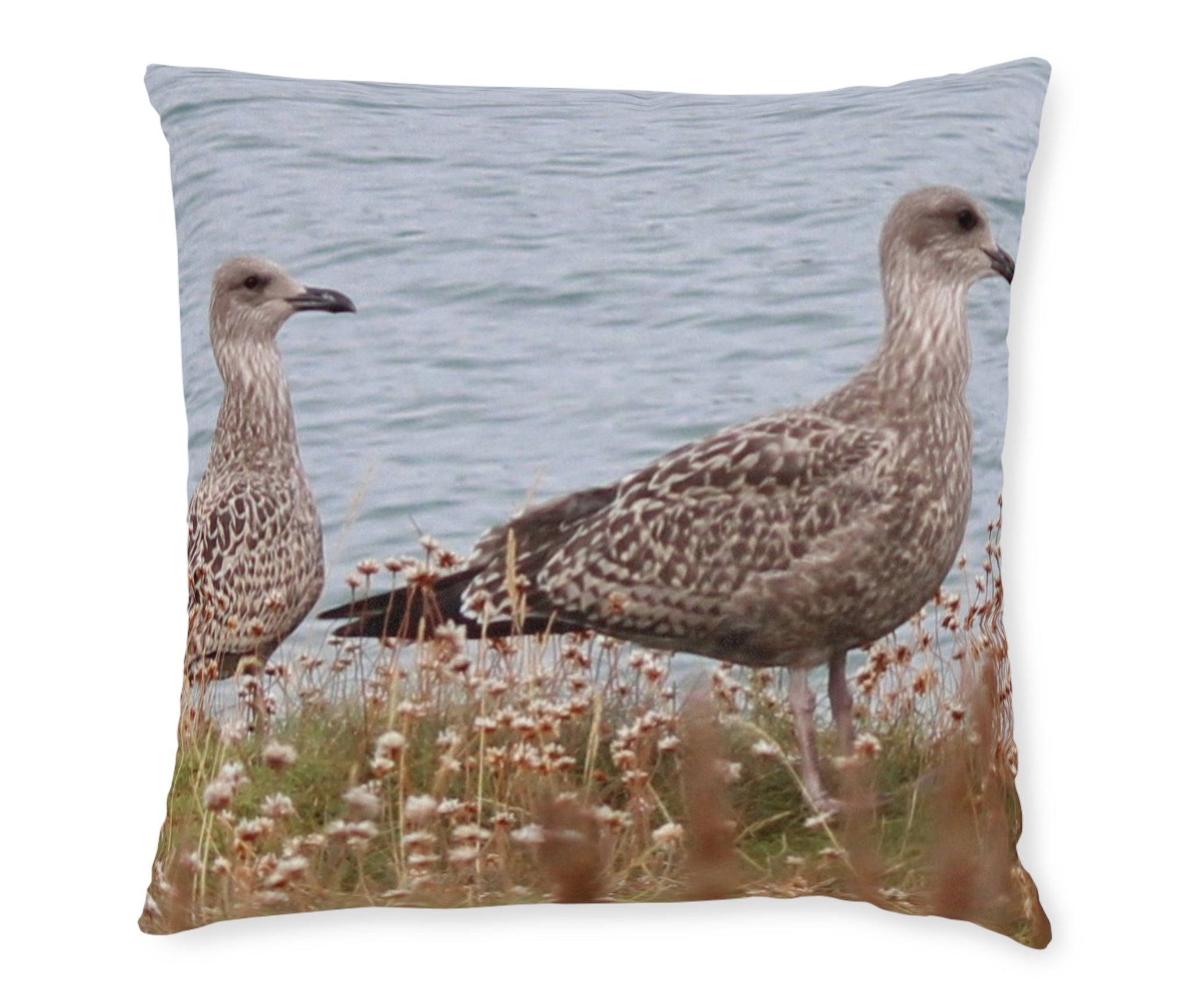 Photo Cushions UK